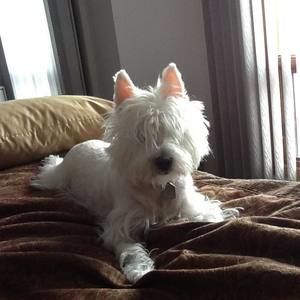 Meet your Posher, Elisa